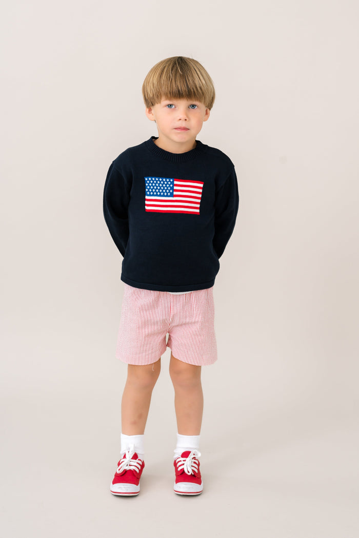 Cozy Up Sweater - Northshore Navy, American Flag