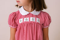 Ruth Ribbon Dress - Ridgeland Red Minigingham