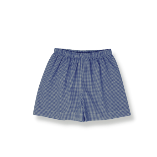 Stewart Short - Navy Minigingham