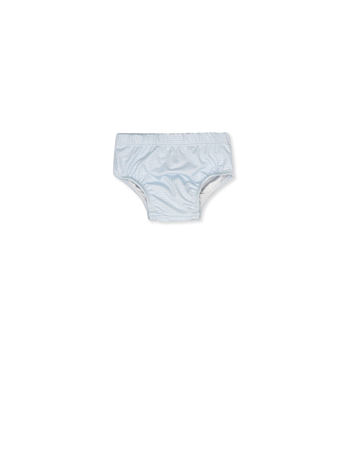 Swim Diaper Cover - Baby Blue Minigingham