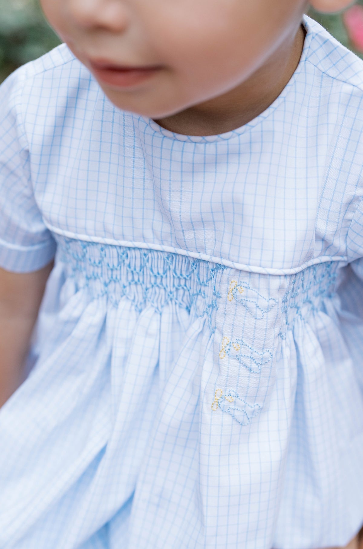 Hayes Bubble - Classic Blue Windowpane,  Airplanes