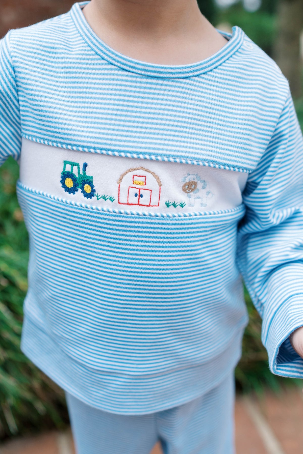 Bayou Play Set - Louisville Light Blue Ministripe, Farm