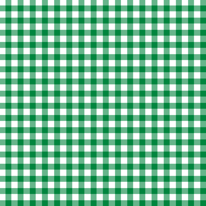 Barnes Bathing Suit - Augusta Green Check