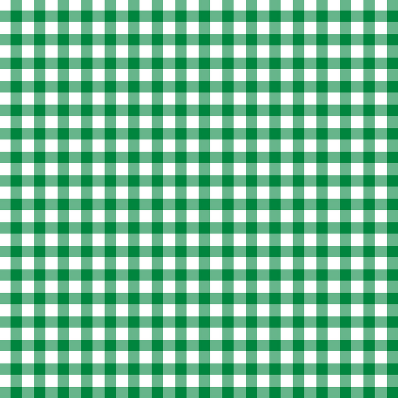 Barnes Bathing Suit - Augusta Green Check